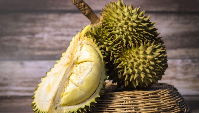 Manfaat Buah Durian, Bisa Cegah Kanker dan Baik untuk Kesehatan Tulang