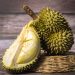 Manfaat Buah Durian, Bisa Cegah Kanker dan Baik untuk Kesehatan Tulang