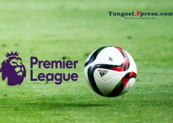 logo premier league