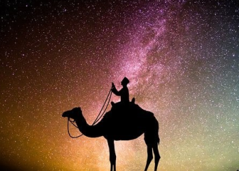 Fiqih Sunnah: Panduan Praktis untuk Hidup Menurut Sunnah Nabi 