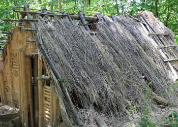 Cerita Horor: Rumah Berhantu di Tengah Hutan