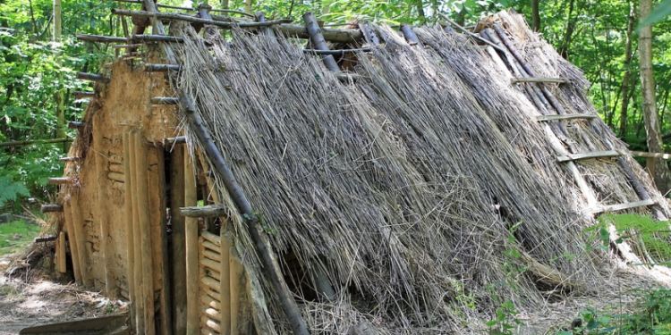 Cerita Horor: Rumah Berhantu di Tengah Hutan