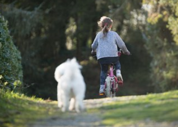 Cerita Pengantar Tidur: Petualangan Seru di Dunia Mimpi 