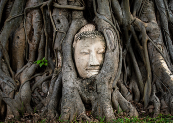 Kuntilanak dari Pohon Beringin 