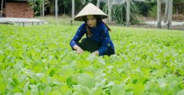 Membangun Mimpi: Kisah Inspiratif Seorang Petani Yang Menjadi Pengusaha Sukses 