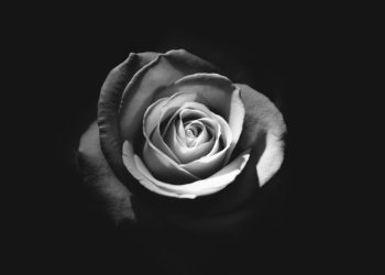 Kabar Duka, Ayah Menkominfo Johnny G Plate Meninggal Dunia