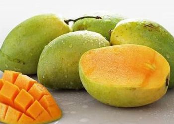 Mau Tahu Apa Saja Manfaat Buah Mangga? Cek Jawabannya di Sini!
