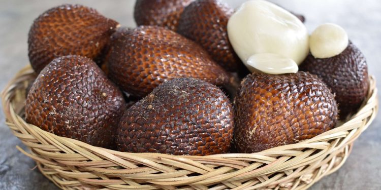buah salak
