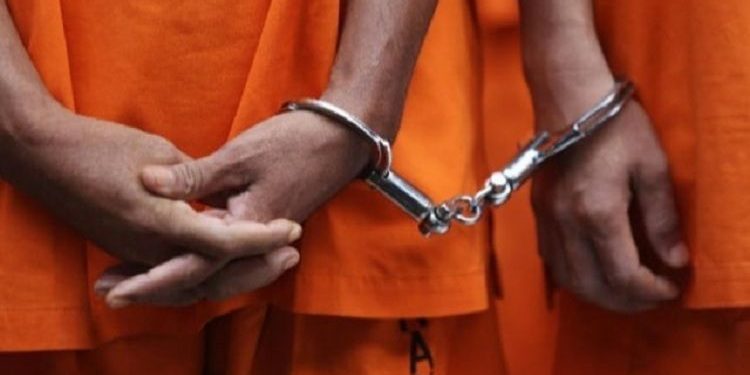 Ditreskrimsus Polda Lampung Berhasil Ungkap Perdagangan Gelap Kayu Sonokeling Ilegal