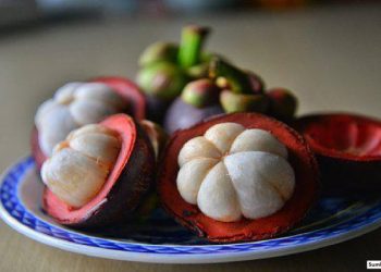 Manfaat Buah Manggis, Cegah Kanker dan Bisa Turunkan Berat Badan