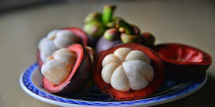 Manfaat Buah Manggis, Cegah Kanker dan Bisa Turunkan Berat Badan