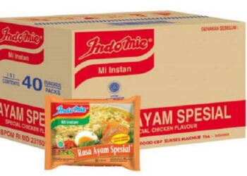 indomie ayam spesial