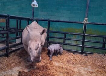 Ramadani Jumat Agung