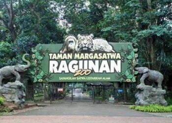 Kebun Binatang Ragunan Mulai Buka Hari Ini, Cek Harga Tiket Masuk dan Jam Buka