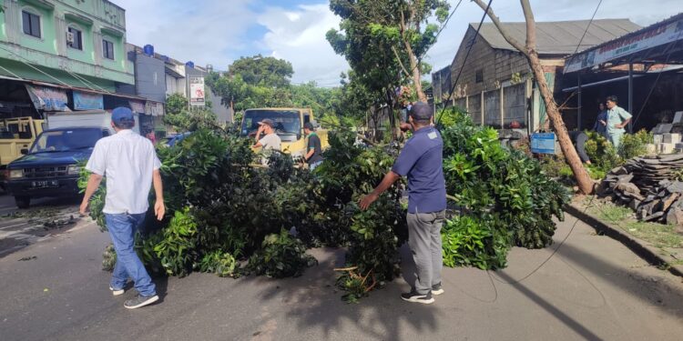 Pohon Tumbang Timpa Truk Hino di Jalan Graha Raya Bintaro