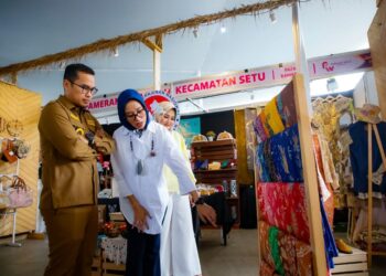Wakil Wali Kota Tangerang Selatan Dukung Pameran Kerajinan Kecamatan Setu
