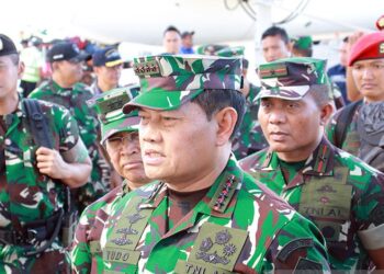 panglima tni