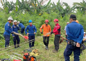 Sapi 650 Kilogram Tewas Tercebur di Sumur: Kejadian Tragis di Tangsel