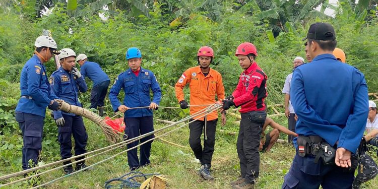 Sapi 650 Kilogram Tewas Tercebur di Sumur: Kejadian Tragis di Tangsel