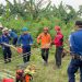 Sapi 650 Kilogram Tewas Tercebur di Sumur: Kejadian Tragis di Tangsel