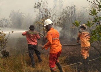 Antisipasi Karhutla, Mendagri Terbitkan Instruksi bagi Pemda Se-Indonesia