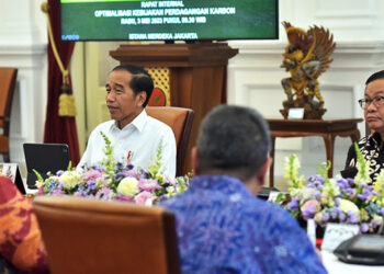 Perdagangan Karbon Indonesia Bersifat Terbuka, Namun Teregistrasi