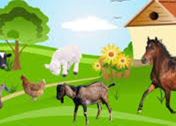 Virus Demam Babi Afrika Merebak, Segera Perbaiki Tata Kelola Kesehatan Hewan Ternak