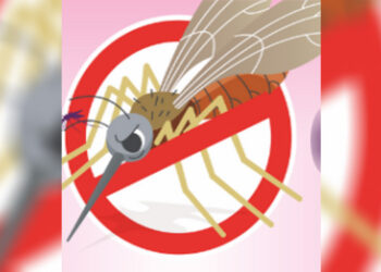 Hore…, Satu Kabupaten di Papua Barat Kini Bebas Malaria