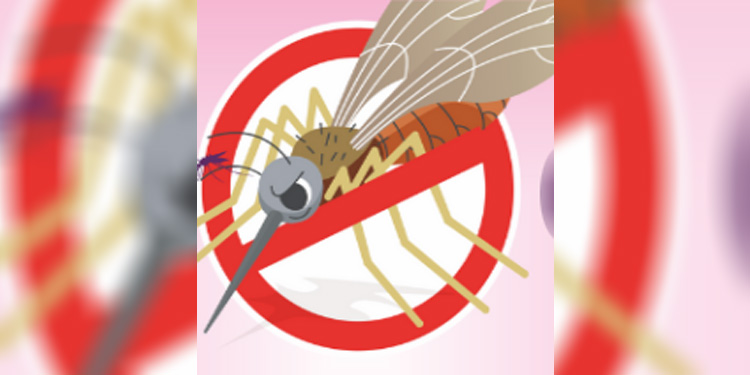 Hore…, Satu Kabupaten di Papua Barat Kini Bebas Malaria