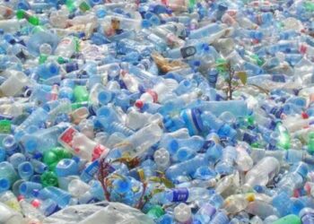 Alasan Mengapa Kita Perlu Mengurangi Penggunaan Plastik Sekali Pakai