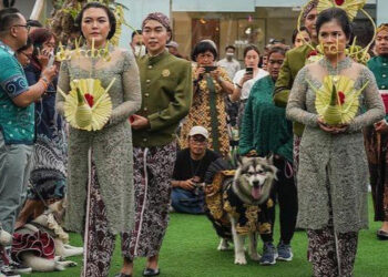 Nena Ghoib si Penyelenggara Pernikahan Anjing: Saya Tak Berniat Melecehkan Budaya Indonesia