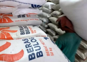 Pastikan Stok Beras Aman di Tengah Kekhawatiran El Nino, Bulog Siapkan Beberapa Strategi