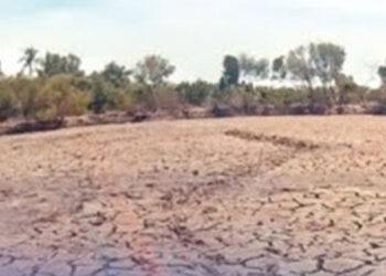 Puncak El Nino Diprediksi Agustus-September, Pemerintah Perkuat Langkah Antisipasi