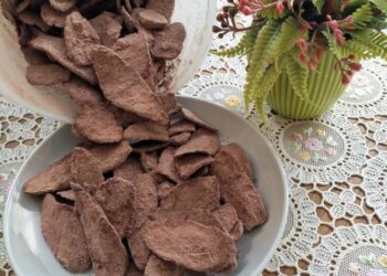 Berbagi Ilmu Resep Cemilan Khas Lampung