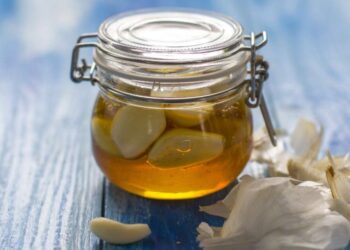 Rendaman Madu dan Bawang Putih Bagus untuk Kesehatan, Yuk Dicoba!