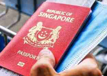 Marak Fenomena Generasi Muda Pindah Warga Negara, Pemerintah Harus Perbaiki Sistem Ketenagakerjaan