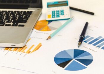 Peran Akuntansi dalam Pembangunan Ekonomi Negara Berkembang