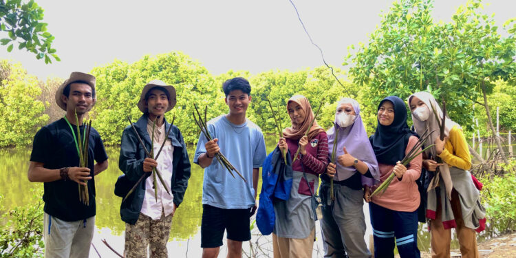 Manfaat Pohon Mangrove melalui Kolaborasi Kelompok Tani Hutan Remaja Tanjung Burung