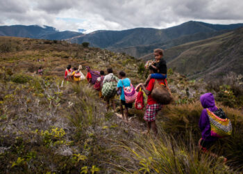 Ironi di Tanah Papua