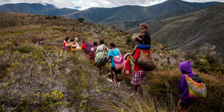 Ironi di Tanah Papua