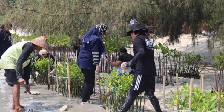 Dukung Upaya Pemerintah Bebas Emisi Karbon, BRI Kembali Tanam Bibit Mangrove di Pulau Tidung
