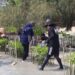 Dukung Upaya Pemerintah Bebas Emisi Karbon, BRI Kembali Tanam Bibit Mangrove di Pulau Tidung