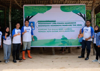 ACC Tanam 1.000 Pohon Mangrove di Ekowisata Pandang Tak Jemu Batam