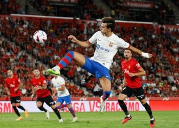 joao felix