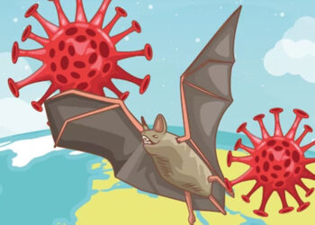 Meski Belum Terdeteksi, DPR Minta Pemerintah Siaga Virus Nipah