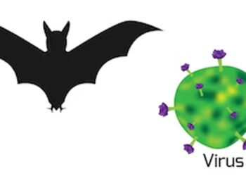 Apa Itu Virus Nipah? Yuk Cari Tahu Penyebab dan Gejalanya!