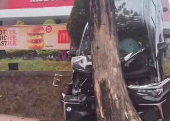 Salah Injak Pedal Gas, Mobil Terperosok dan Hantam Pohon saat Pesan Drive Thru Makanan Cepat Saji