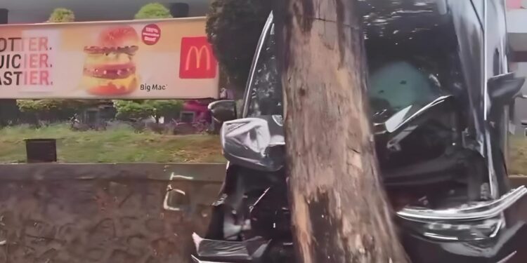 Salah Injak Pedal Gas, Mobil Terperosok dan Hantam Pohon saat Pesan Drive Thru Makanan Cepat Saji