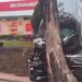 Salah Injak Pedal Gas, Mobil Terperosok dan Hantam Pohon saat Pesan Drive Thru Makanan Cepat Saji