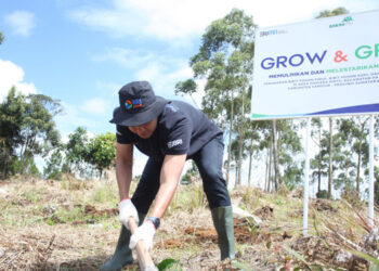 Jaga Kelestarian Danau Toba, BRI Peduli “Grow & Green” Tanam 2.500 Bibit Pohon di Samosir